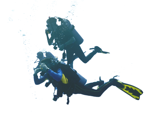 diver kpc webdesign diver kpc webdesign