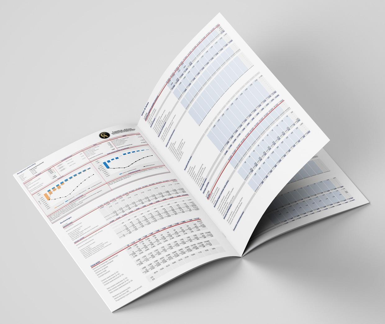 Businesscase-in-Excel-flyer